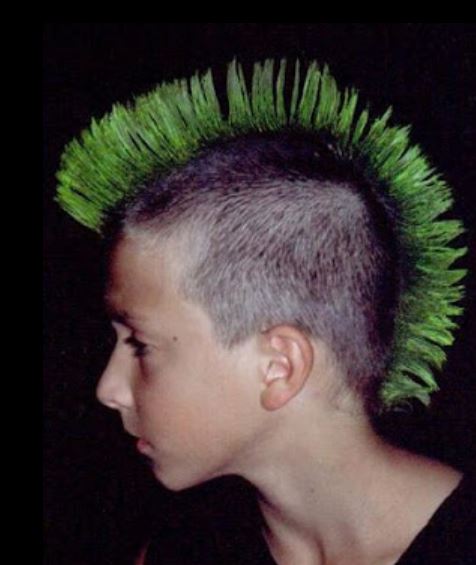 Boy mohawk hairstyle with hair color in green.JPG