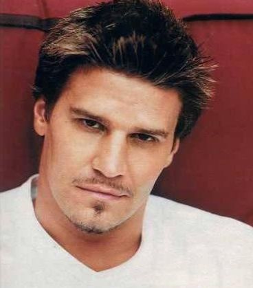 David Boreanaz with thick and spiky men hairstyle photo.JPG
