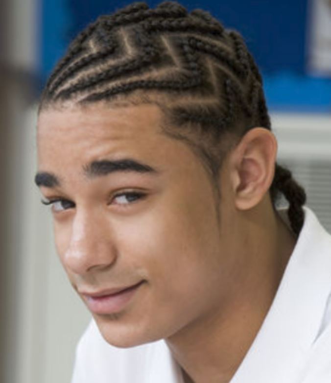 Black men braid hairsytle photo.JPG