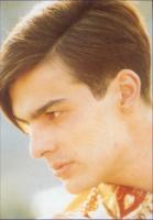 Short Hair Style, brown with swept bang in long length