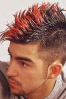 Roaster men hairstyle.JPG