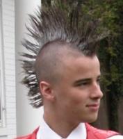 High silver mohawk hairstyle picture.JPG