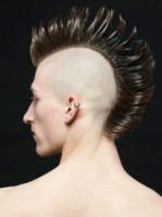 Mens punk hairstyle with mohawk style.JPG