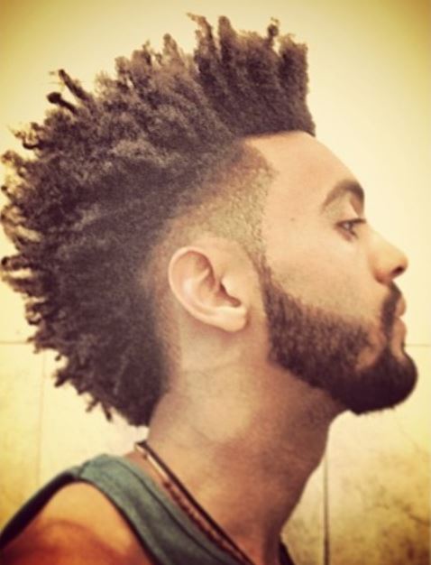 Male afro hairstyle with small braids and undercut hair.JPG
