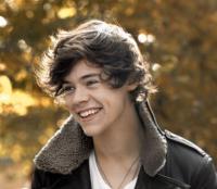 Handsome American singer Harry Styles.JPG