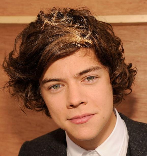 American singer photo of Harry Styles with light curly hair and swept bang.JPG

