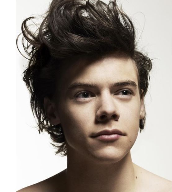 Cool American singer Harry Styles post picture.JPG
