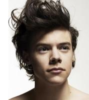 Cool American singer Harry Styles post picture.JPG