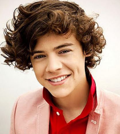 Hot American singer picture of Harry Styles with his layered haircut.JPG
