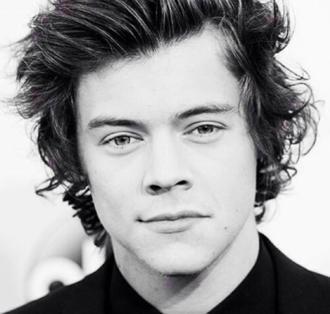 Young handsome American singer Harry Styles.JPG