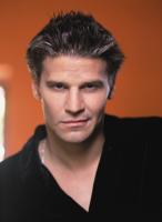 David Boreanaz
