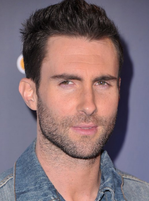 Adam Levine with he short hairstyle with thick hair on the top and thin on the sides.PNG
