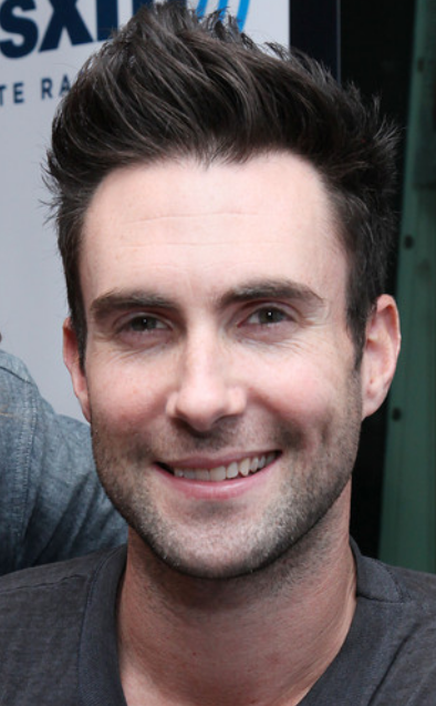 Hot singer hairstyle 2013 with Adam Levine.PNG
