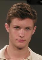 Short Lightly Waved Hair Style, brown