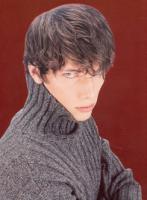 Man s hair style, brown