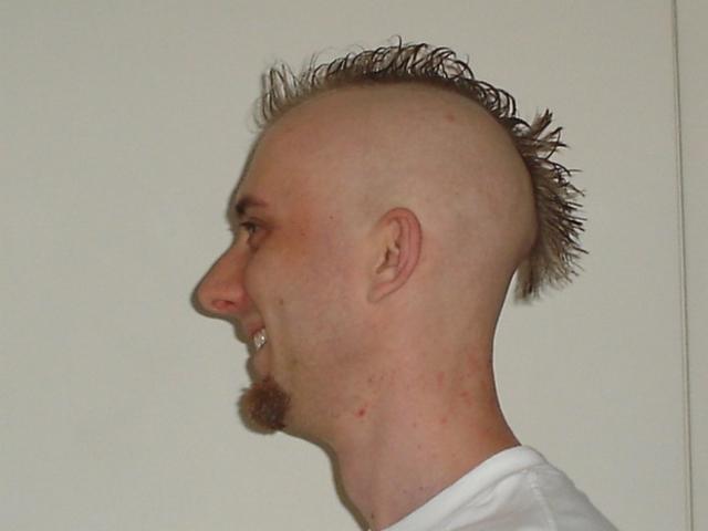 short punk hairstyles.jpg