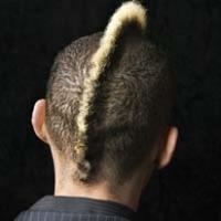 cool punk hairstyle.jpg