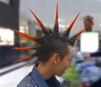 long punk hairstyle.jpg