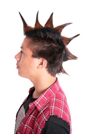 men punk hair - large teen mohawk.jpg
