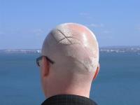 men white hairstyle with cool thin patterns.jpg