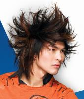 Punk Hair Style Man, Long Hair Style, Highlight - brunette & brown