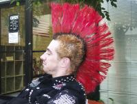 Big funky punk red hairstyle.jpg