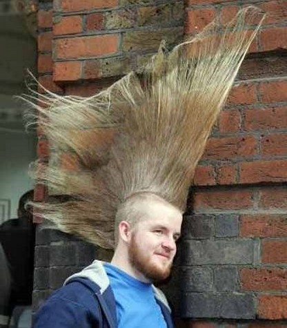 Extreme punk hairstyle.jpg
