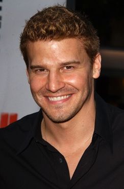 David Boreanaz photo with his short layered man hairstyle with spikes.JPG
