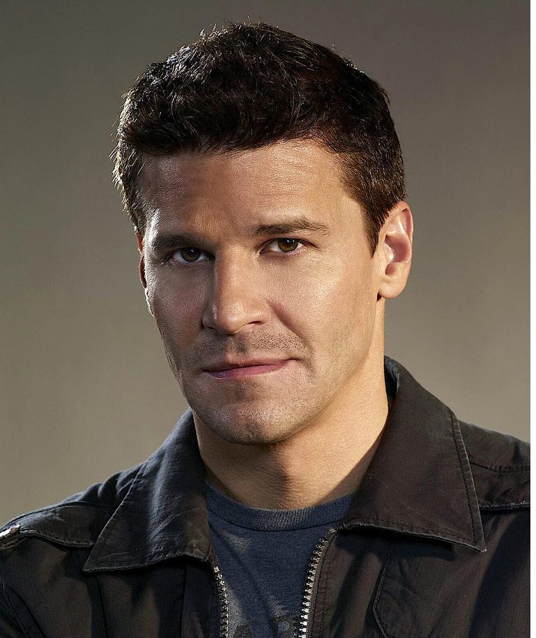 David Boreanaz picture with very short men hairstyle.JPG