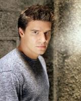 David Boreanaz with his very spiky hair in his Angle show movie.JPG