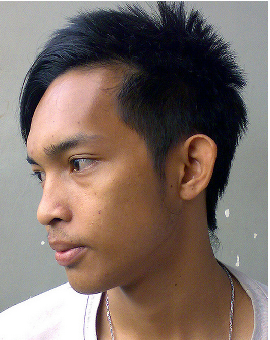 2011 Asian men hairstyles picture.PNG
