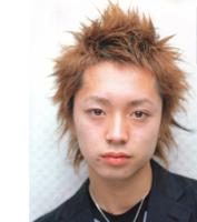 Medium layered and spiky Hair Style, redish light brown