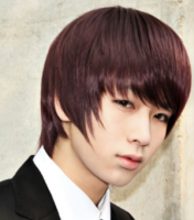 Asian Medium layered and wispy Hair Style, redish brown.PNG
