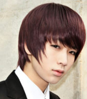 Asian Medium layered and wispy Hair Style, redish brown.PNG